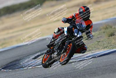 media/Oct-29-2023-Carters at The Track (Sun) [[b2bb4383ab]]/B Plus/1020am (Sunrise)/